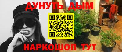 дурь Кимры